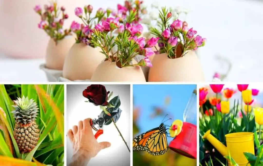 STUNNING GARDENING HACKS