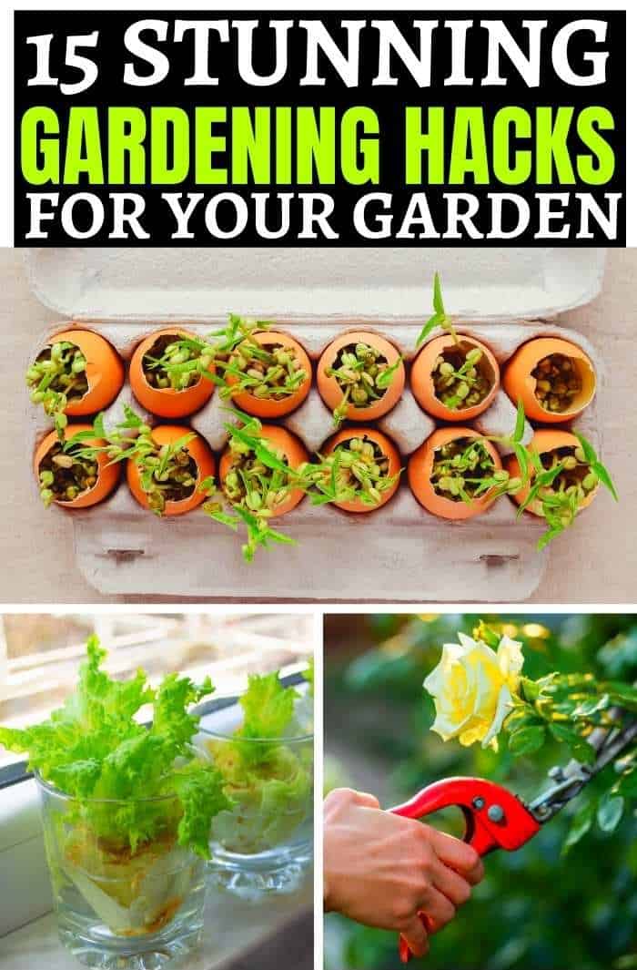 15 STUNNING GARDENING HACKS FOR YOUR GARDEN – Slick Garden