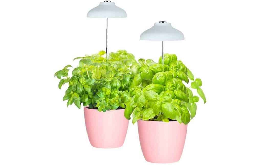 smart garden ideas