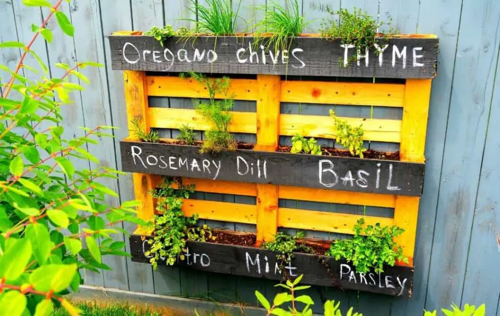 SHELF HERB PLANTER