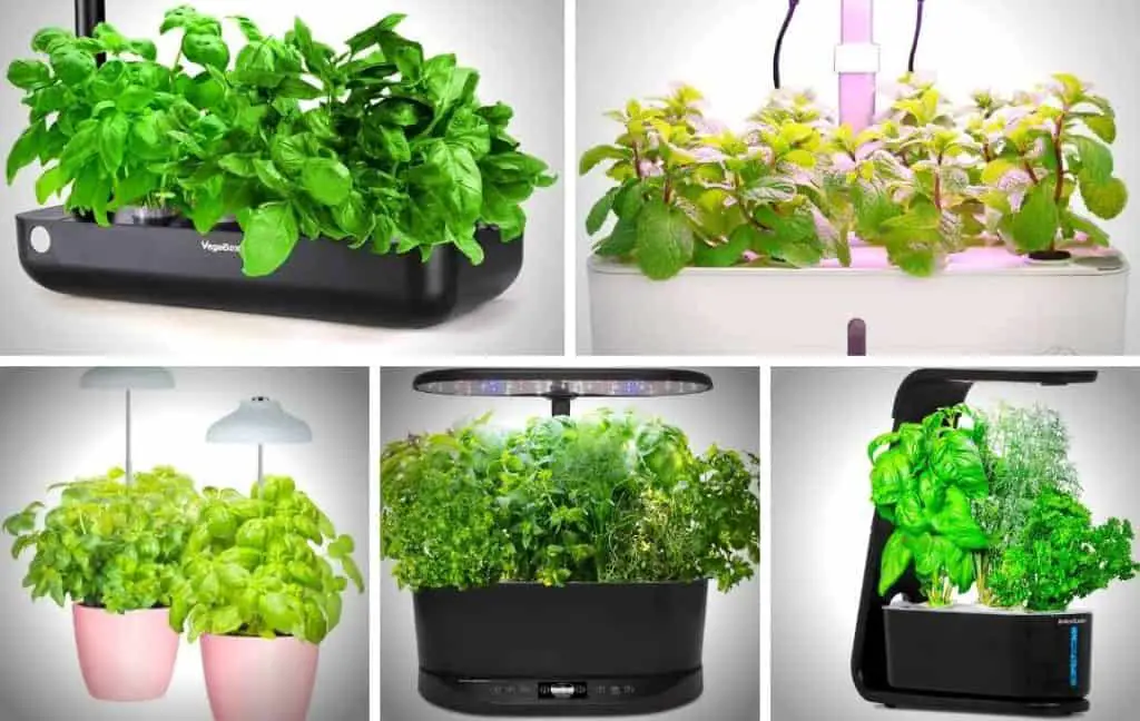 10 SMART HERB GARDEN IDEAS – Slick Garden