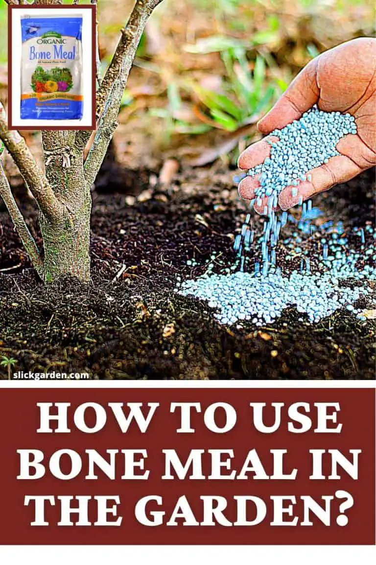 HOW TO USE BONE MEAL IN THE GARDEN? Slick Garden