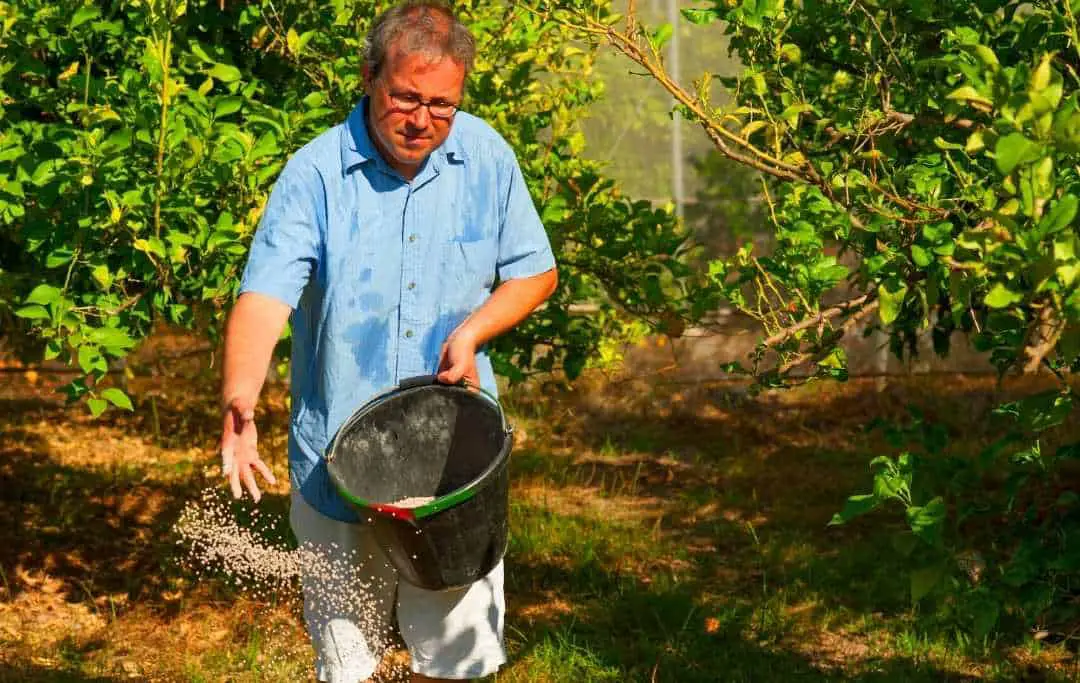 HOW TO USE BONE MEAL IN THE GARDEN? Slick Garden