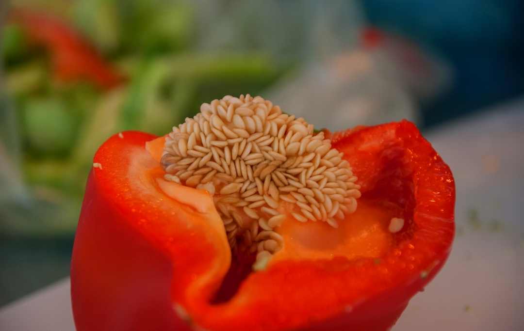 HOW TO GROW BELL PEPPERS FROM SCRAPS? Slick Garden