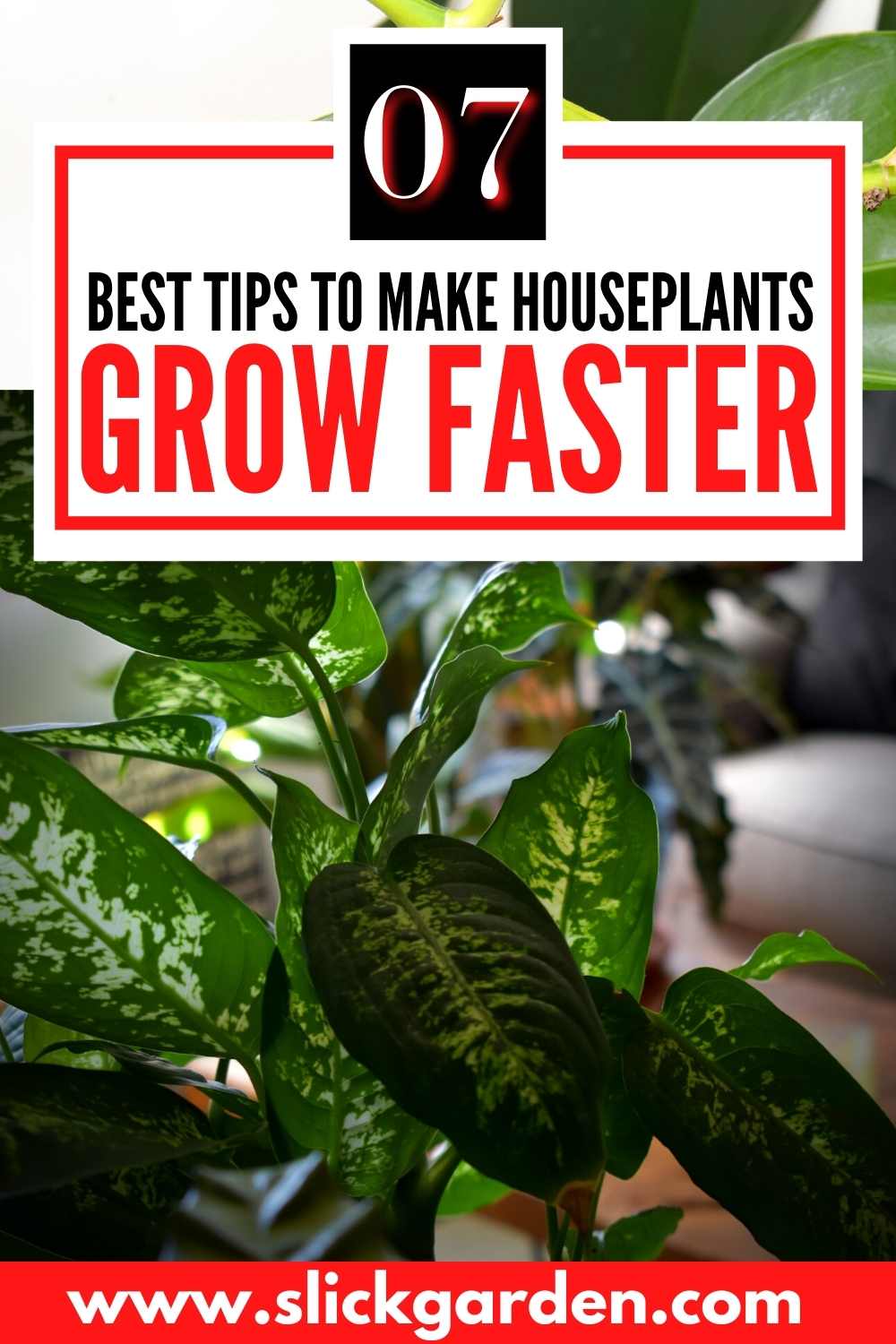 How To Make Houseplants Grow Faster? – Slick Garden