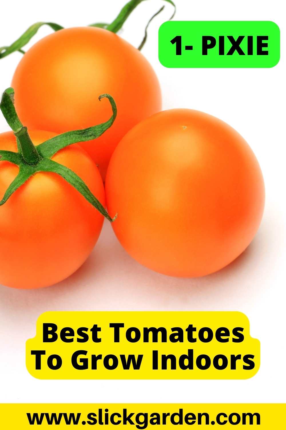 10 Best Tomatoes To Grow Indoors Slick Garden