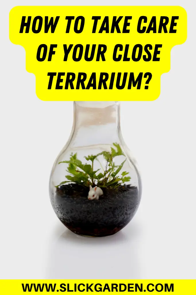 close terrarium pin