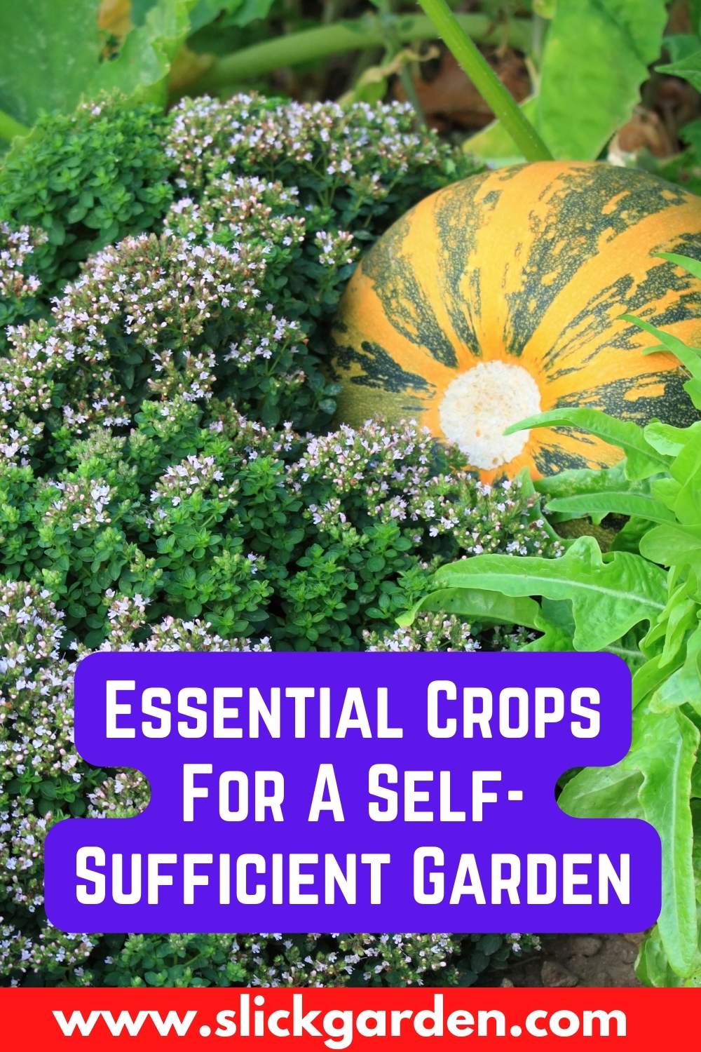 10 Essential Crops For A Self-Sufficient Garden – Slick Garden