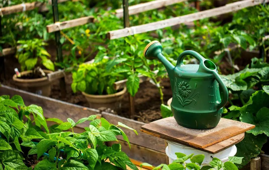 What Vegetables Can Grow In 6 Inches Of Soil Slick Garden