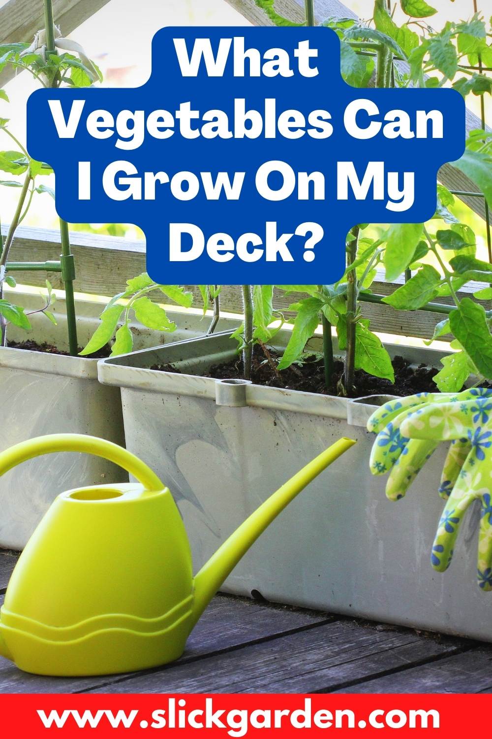 What Vegetables Can I Grow On My Deck? Slick Garden