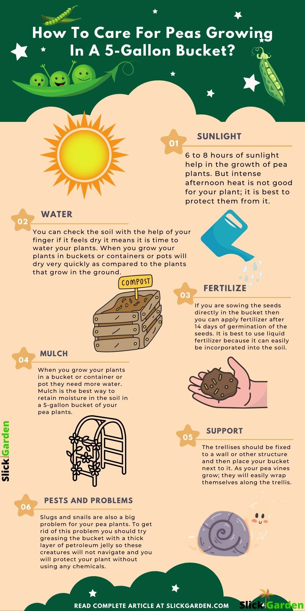 Growing Peas In 5-Gallon Buckets infographic