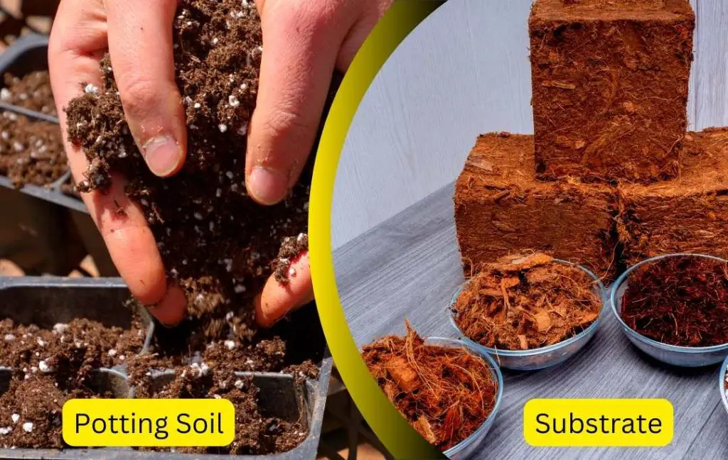 Difference Between Soil And Substrate