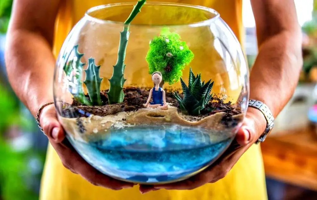  SAND ART TERRARIUM