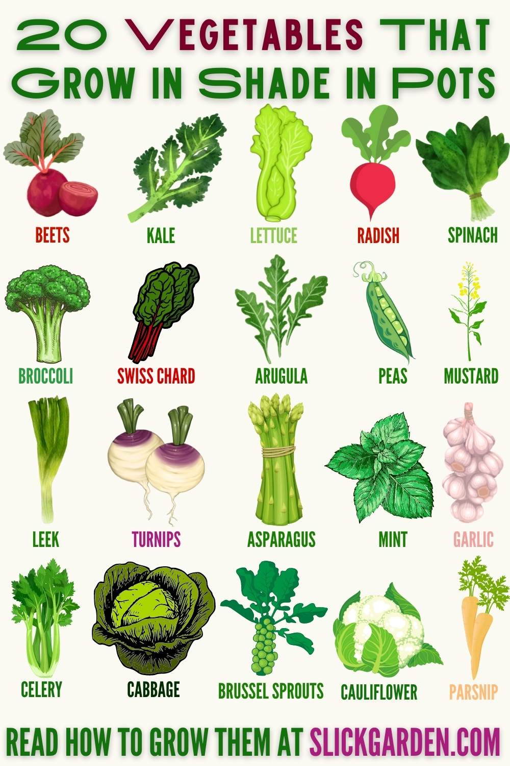 20 Vegetables That Grow In Shade In Pots Slick Garden