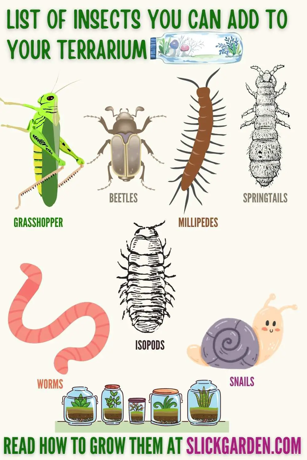 A List Of Insects You Can Add To Your Closed Terrarium