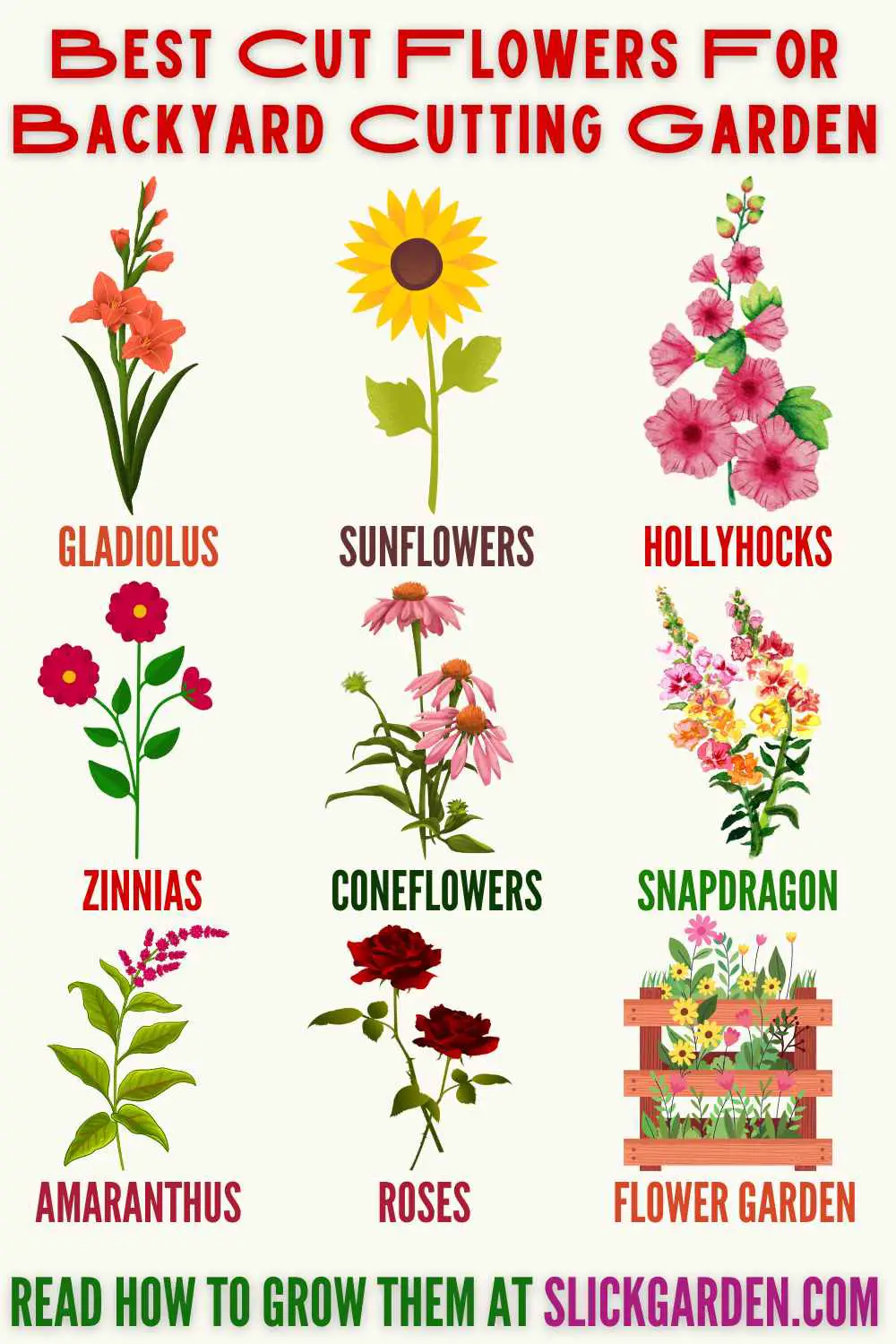 How To Choose The Best Cut Flowers infographic