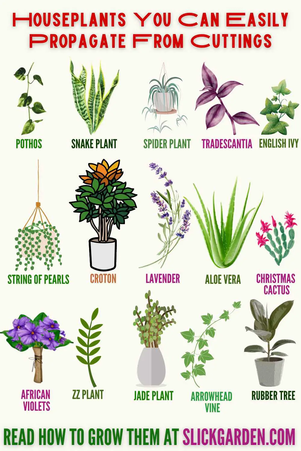 17 Houseplants You Can Easily Propagate From Cuttings