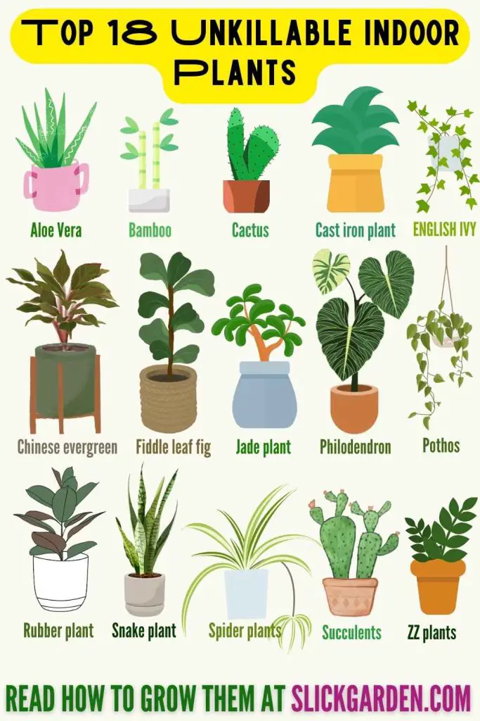 Top 18 Unkillable Indoor Plants – Slick Garden