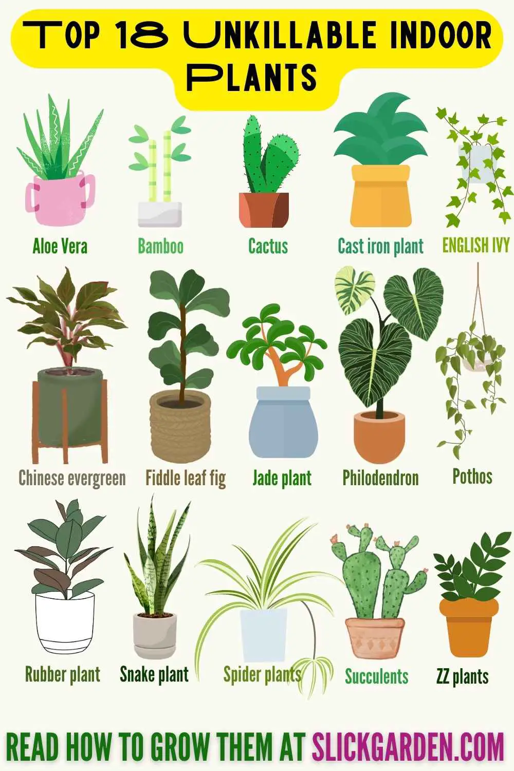 Top 18 Unkillable Indoor Plants  infographic