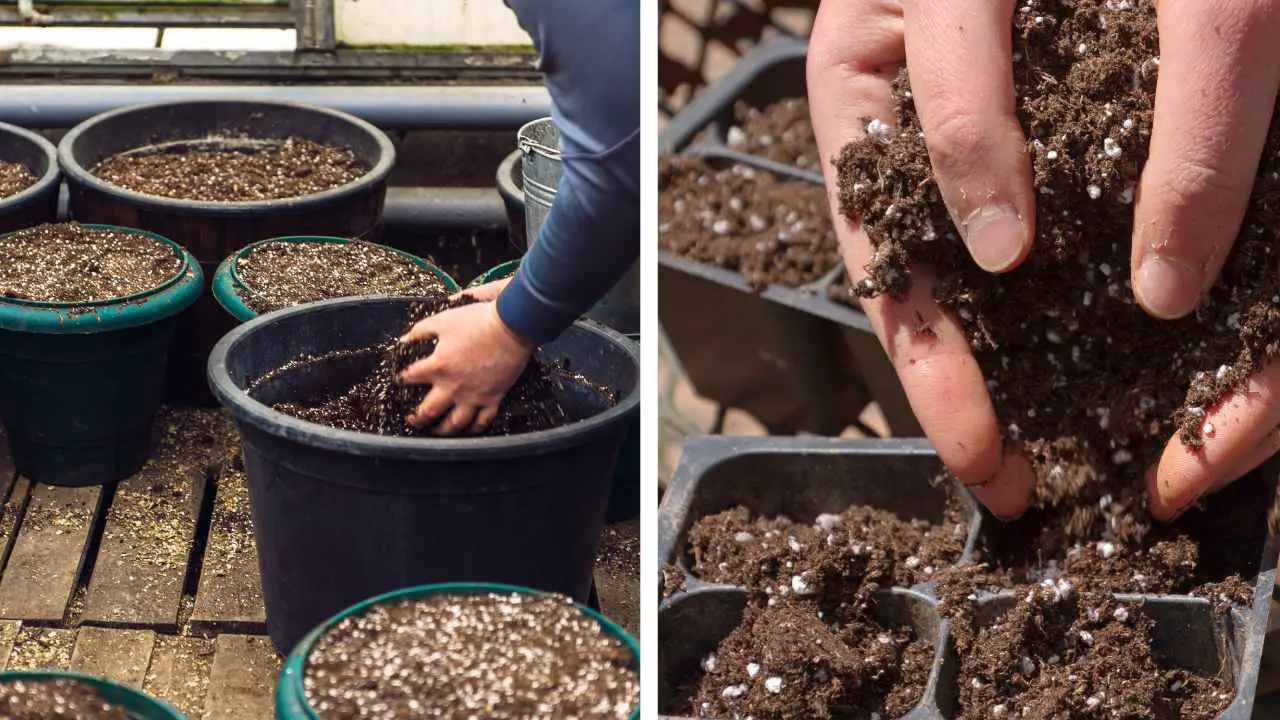 How To Prepare Soil For Tomatoes In Pots? Slick Garden