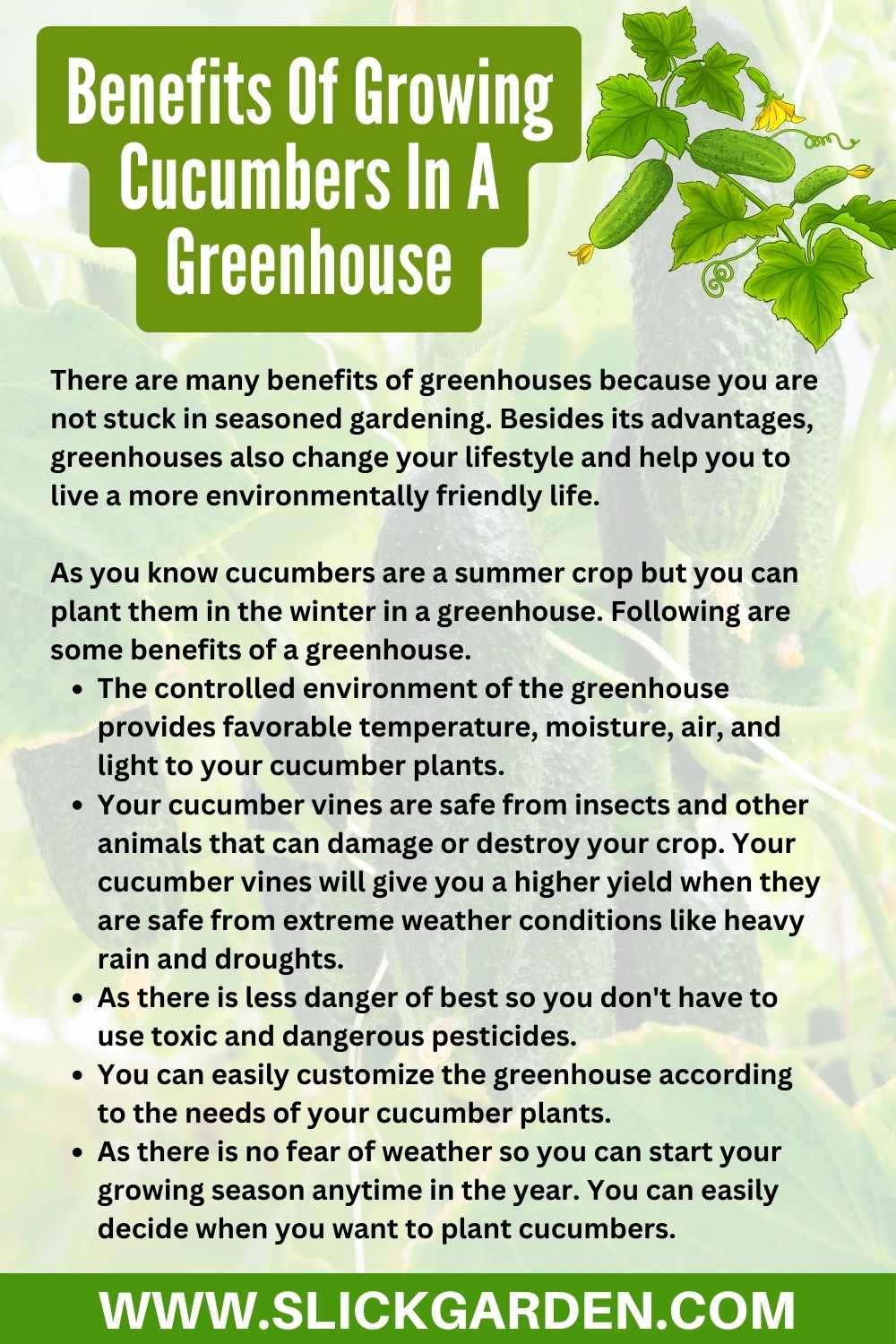 Can You Grow Cucumbers In A Greenhouse In Winter? Slick Garden