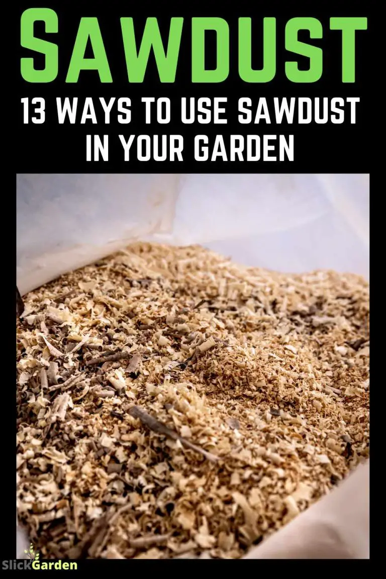 Sawdust The Ultimate Garden Hack (10+ Ways To Use Sawdust In Your Garden) Slick Garden