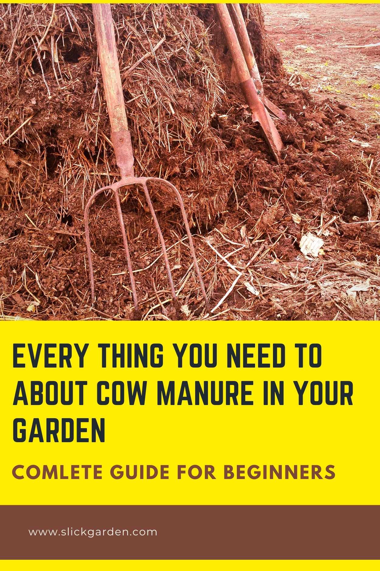 Every Thing You Need To About Cow Manure In Your Garden Slick Garden