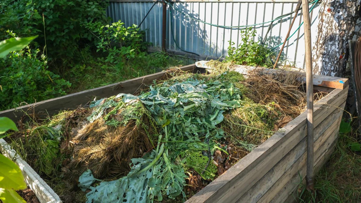 What Is Good For Using As A Compost Activator? Slick Garden