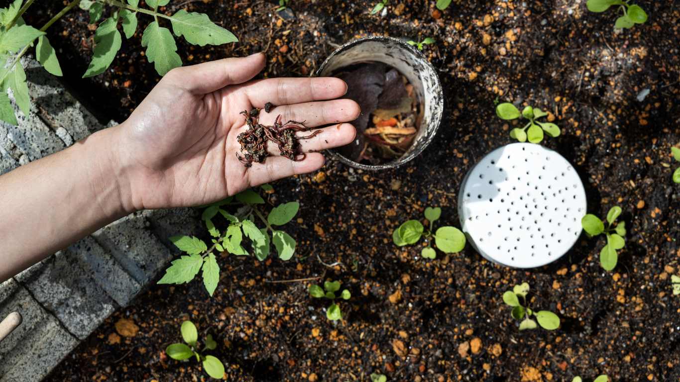 Are Worms Good For The Vegetable Garden? Slick Garden