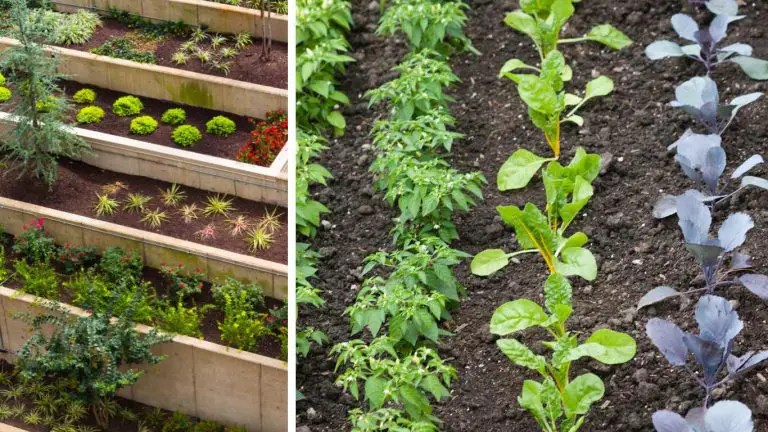 Vegetable Gardening On A Slope – Slick Garden