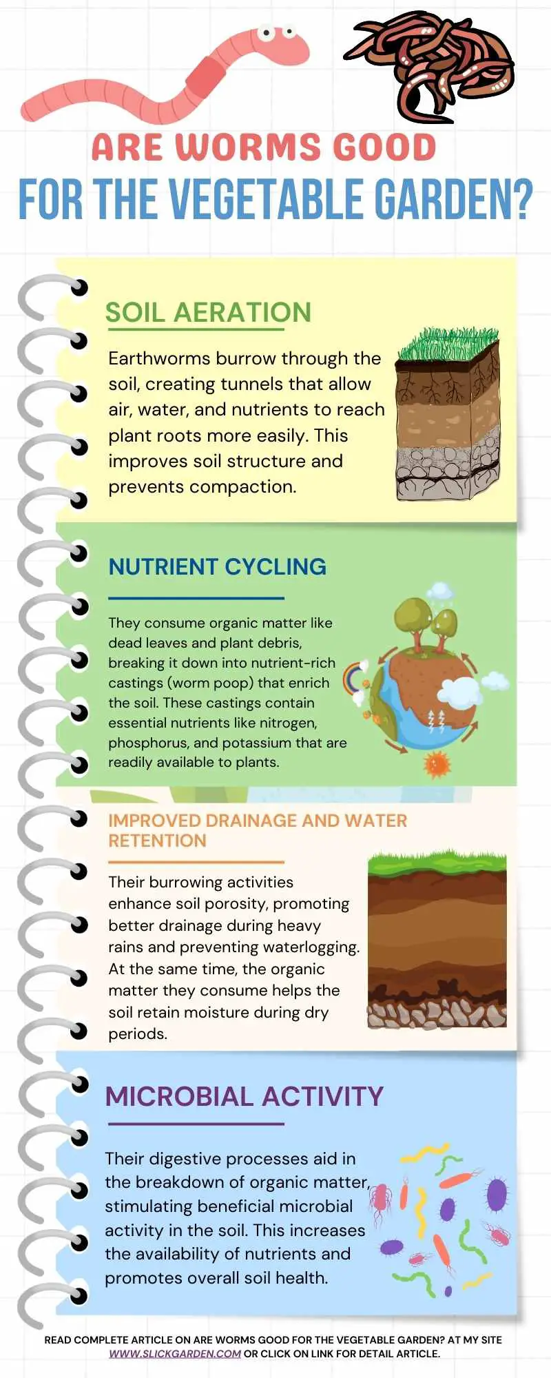 Are Worms Good For The Vegetable Garden? infographic
