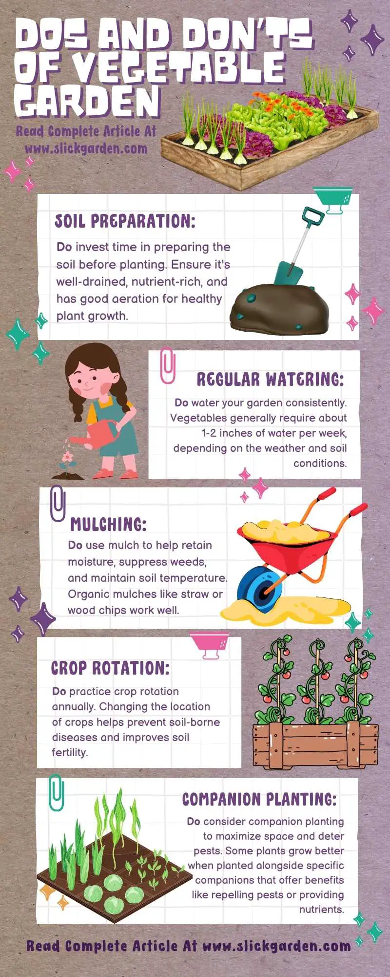 Dos And Don’ts Of Vegetable Garden infographic