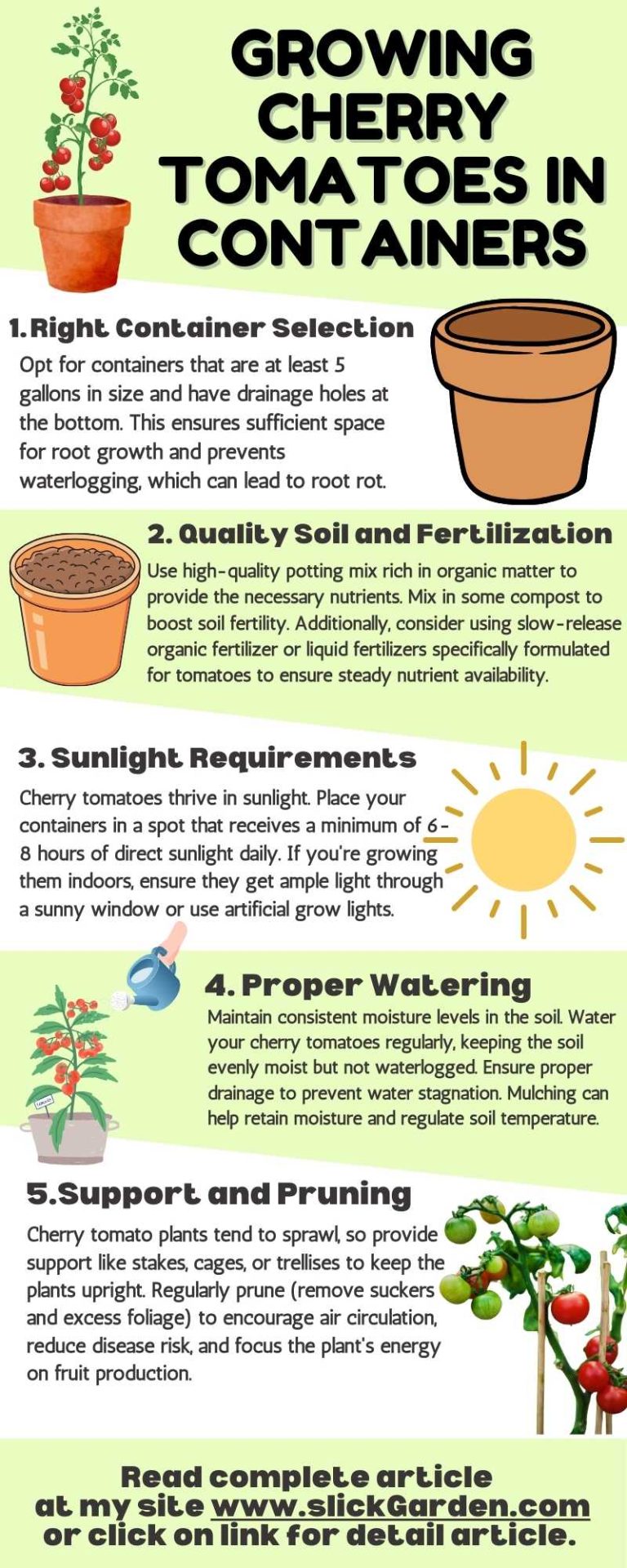 Ultimate Guide: Growing Cherry Tomatoes in Containers | Tips & Tricks ...