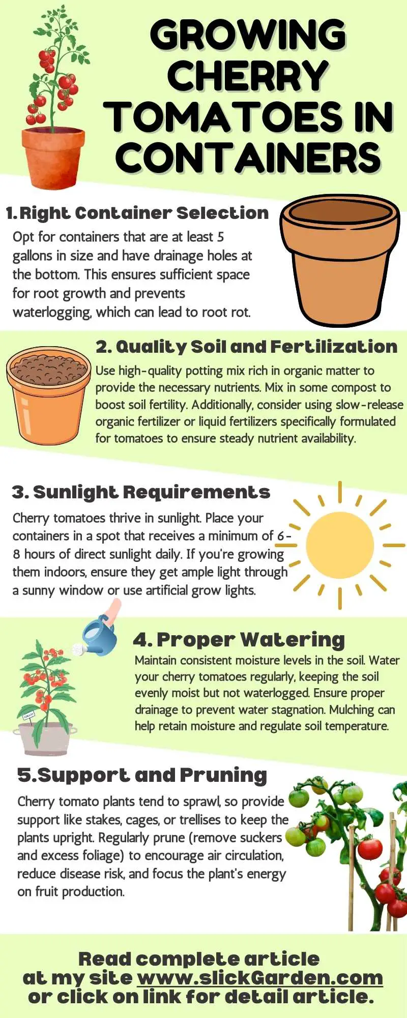 Cherry Tomatoes in Containers infographic