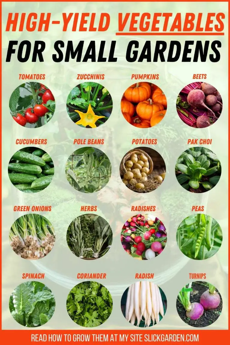 High-Yield Vegetables For Small Gardens – Slick Garden