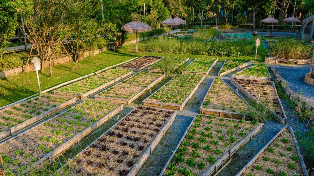 Raised Bed Vegetable Gardening For Beginners