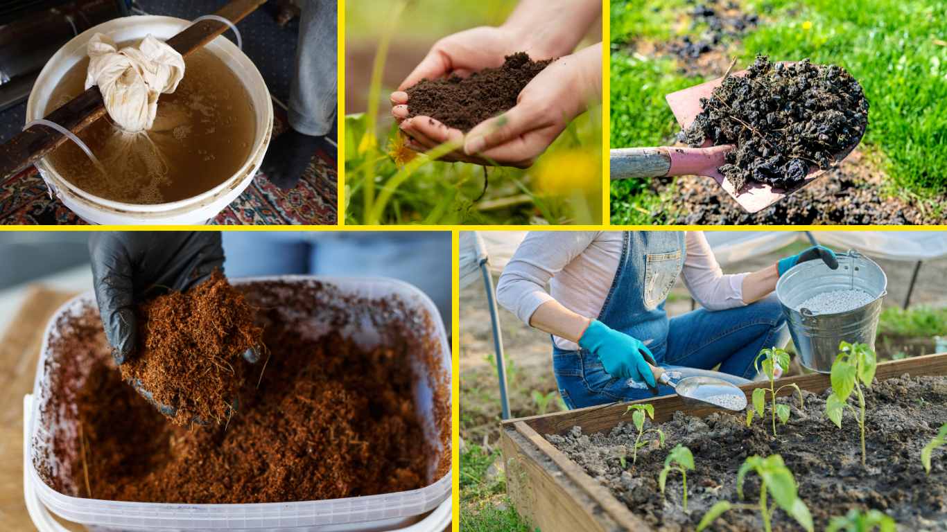 how to fertilize soil for vegetable garden