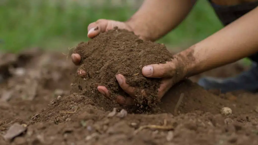 Ensuring Long-Term Soil Health