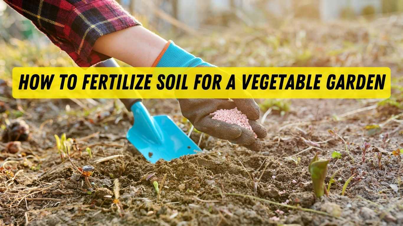 How To Fertilize Soil For A Vegetable Garden – Slick Garden