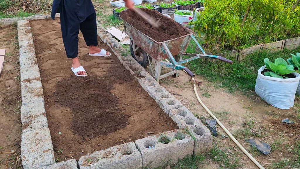 adding soil in raised bed