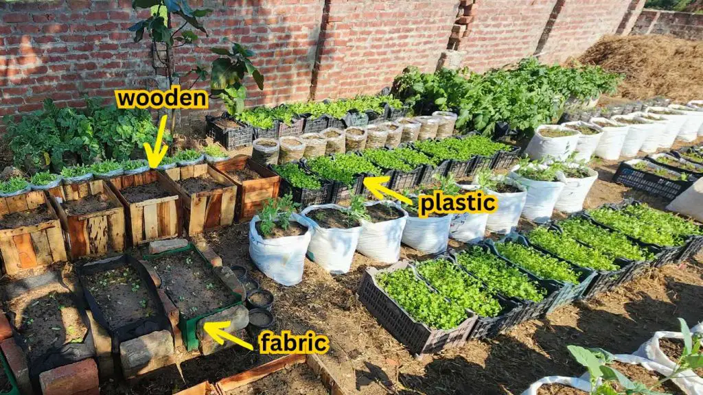 types of pots Container Vegetable Garden