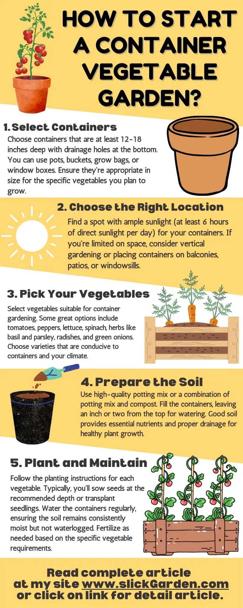 start a Container Vegetable Garden infographic