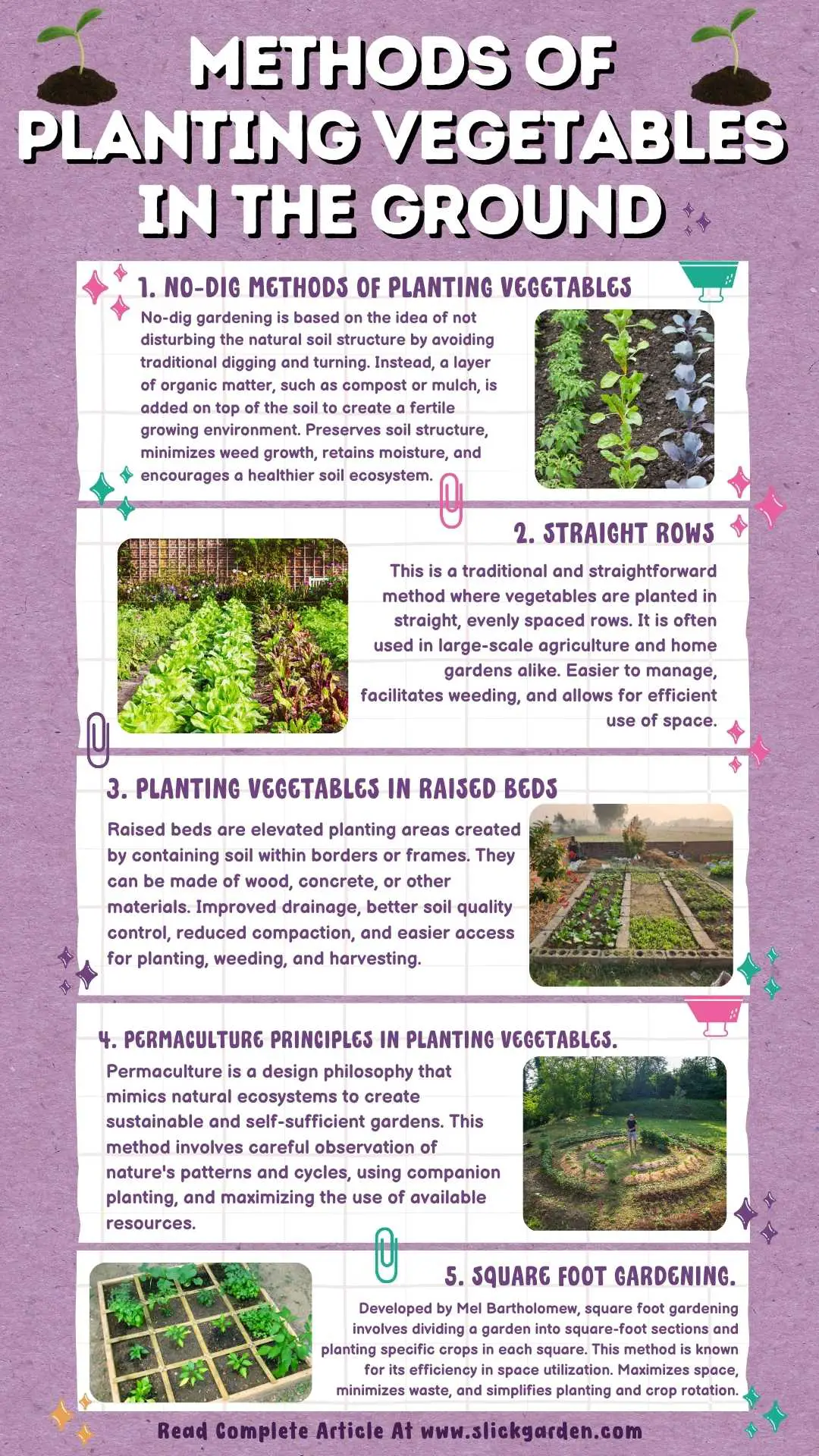 Methods Of Planting Vegetables In The Ground infographic