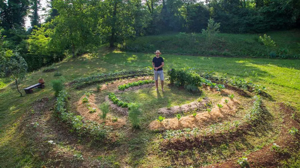 Permaculture Principles In Planting Vegetables