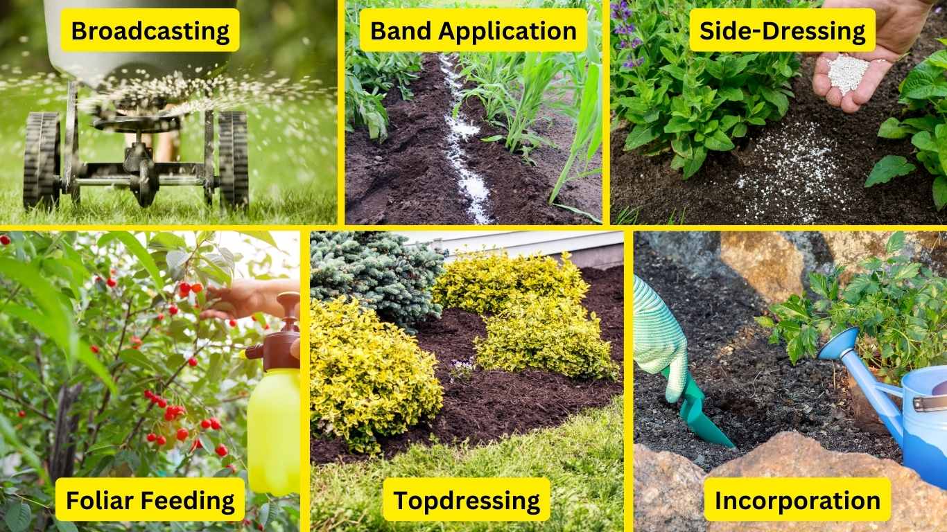 How To Fertilize Soil For A Vegetable Garden Slick Garden