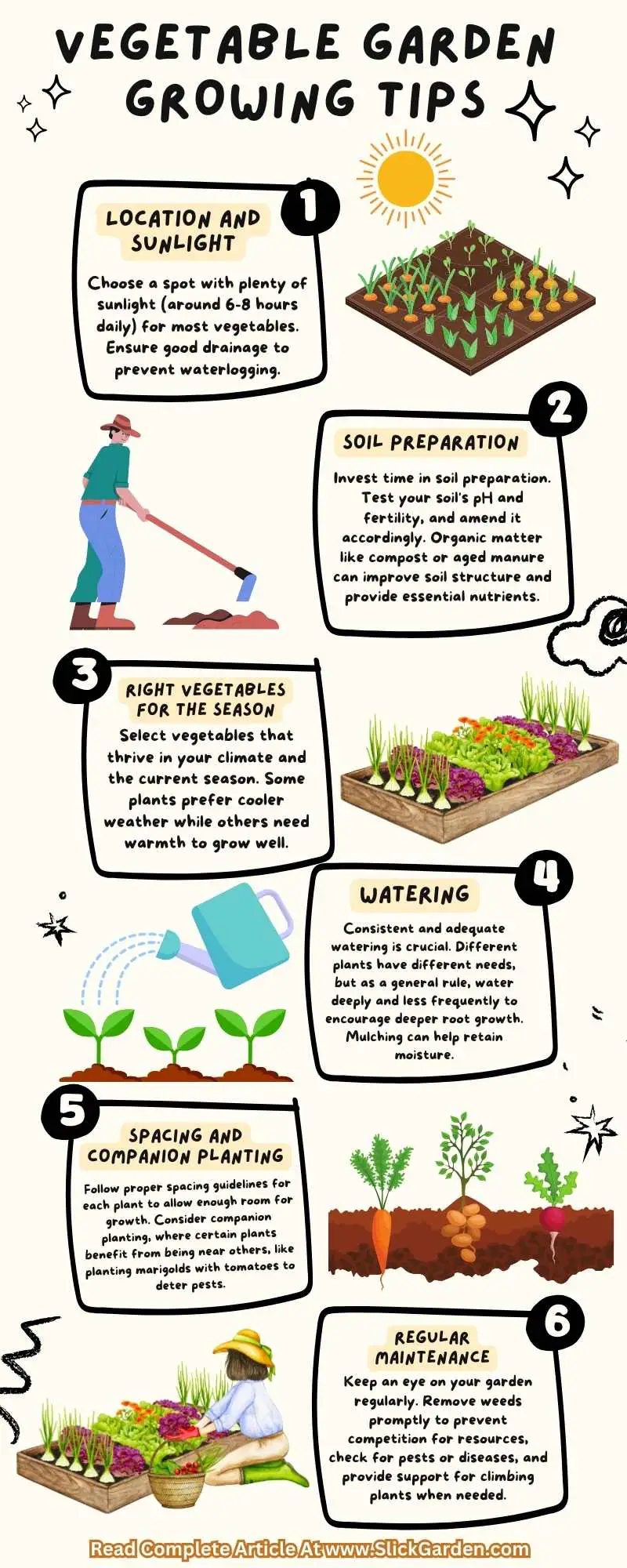 Vegetable Garden Growing Tips infographic