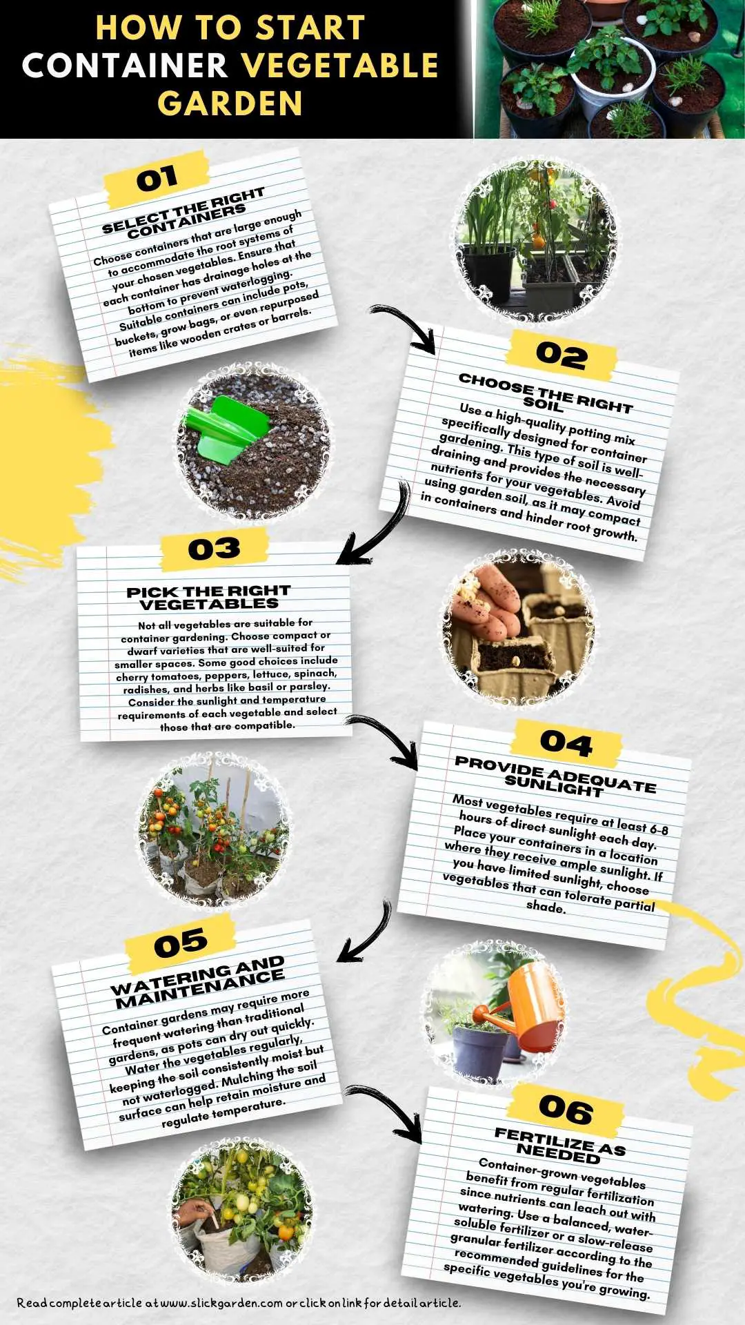 Container Garden infographic