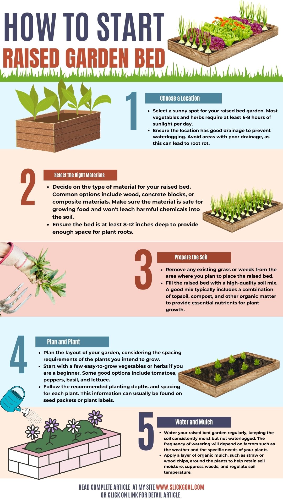 Raised Bed Garden infographic