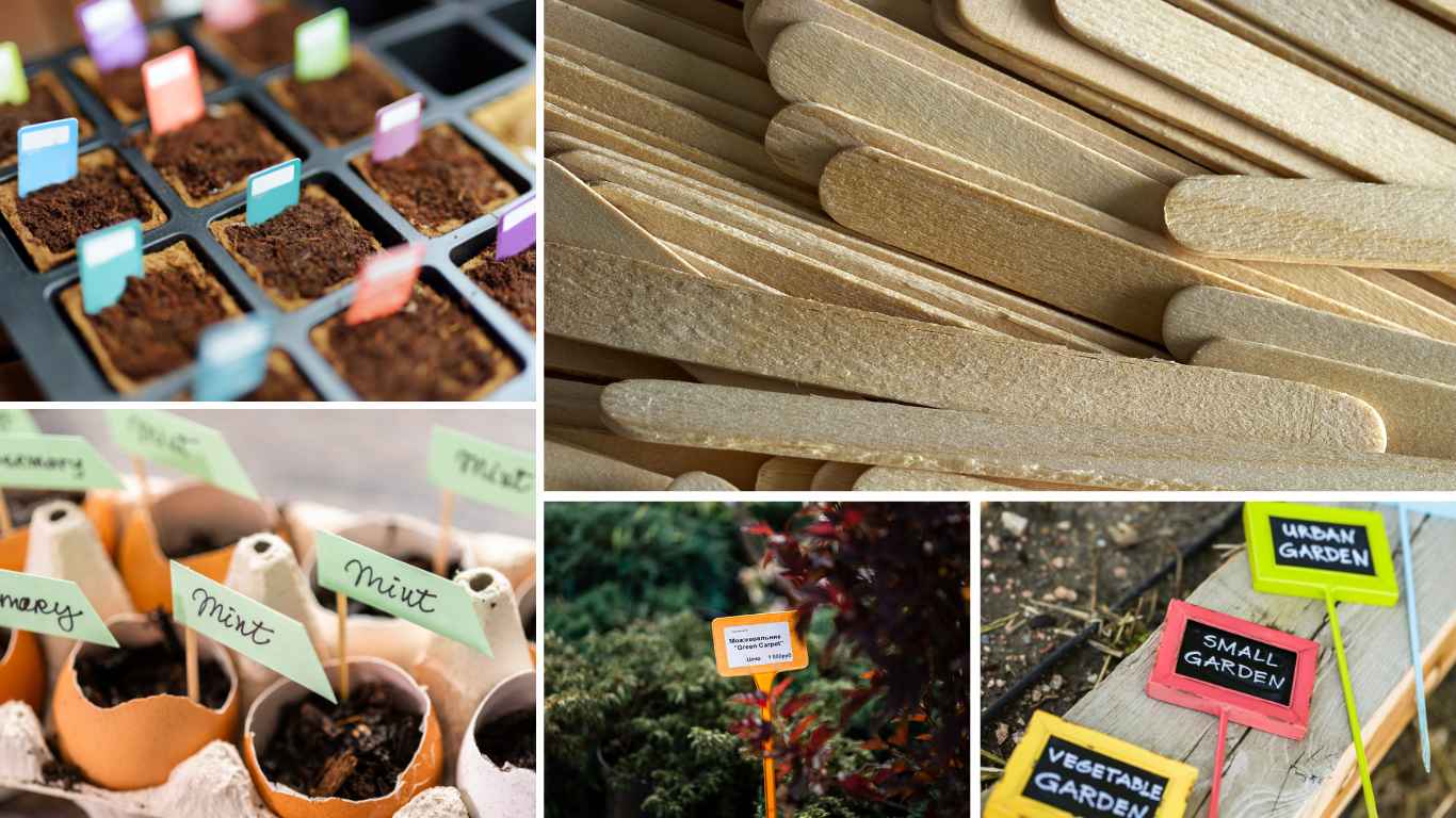 How To Make A Vegetable Garden Look Nice On A Budget? Slick Garden