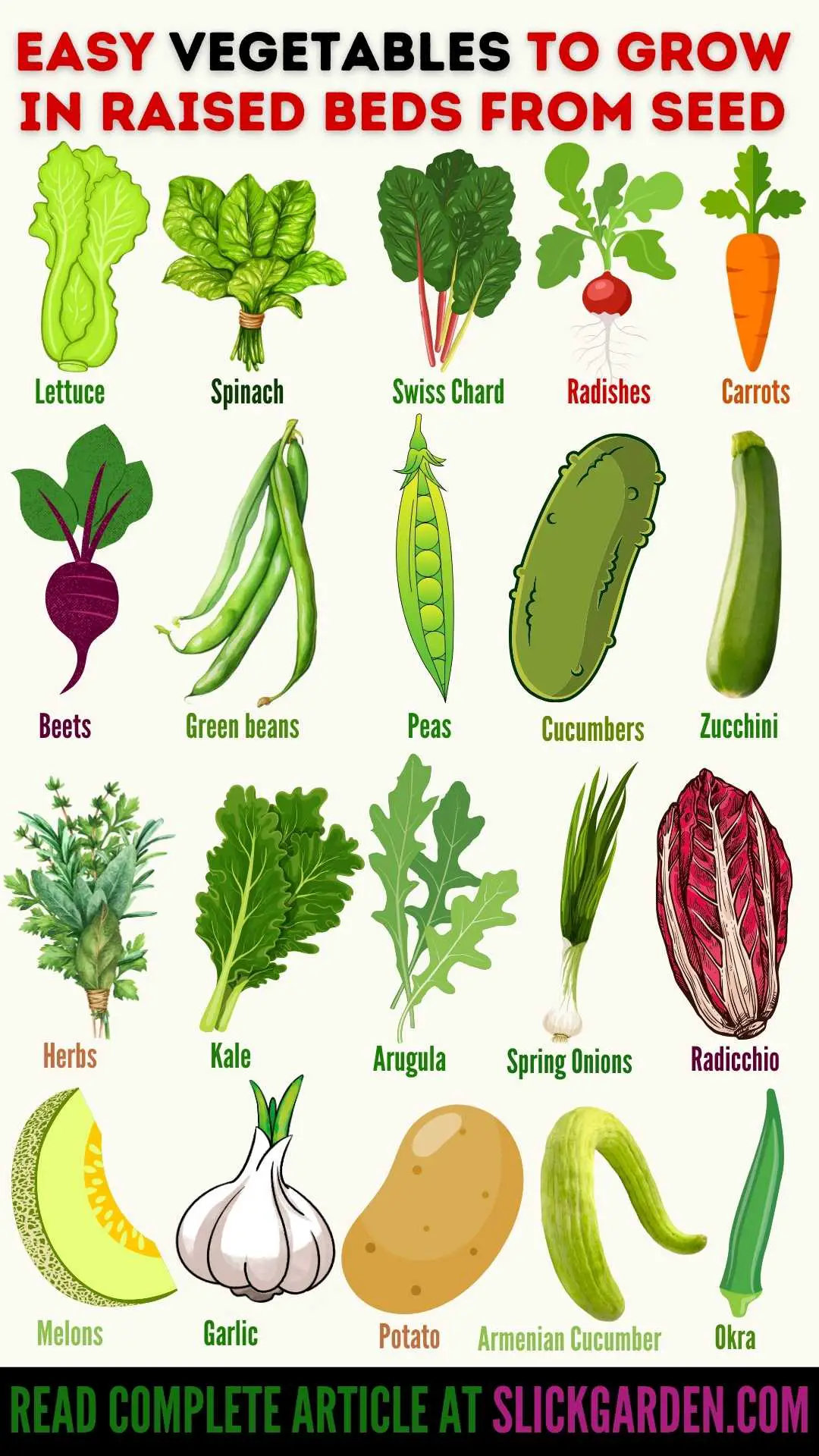 23 Easy Vegetables To Grow In Raised Beds From Seed infographic